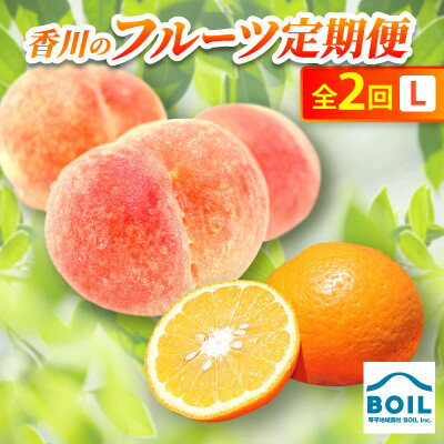 【ふるさと納税】【発送月固定定期便】香川のフルーツ(2L)全2回【配送不可地域：離島・北海道・沖縄県】【4083509】