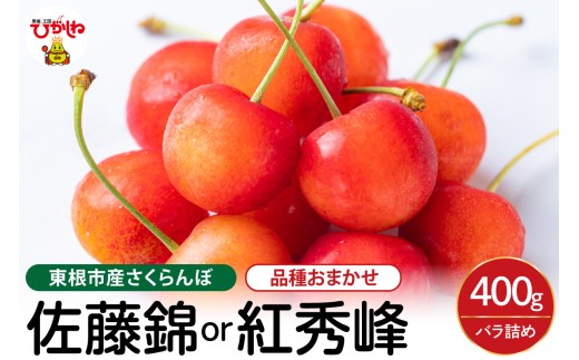 【2027年産】さくらんぼ 佐藤錦 or 紅秀峰 400g バラ詰め 山形県 東根市 hi001-053-r9 フルーツ JA 農協 人気 さくらんぼ 佐藤錦 バラ 贈答 ギフト 化粧箱 産地直送 冷蔵 先行