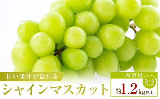 【小分けパック入り】パクパク食べれる・シャインマスカットパック　約1.2kg以上