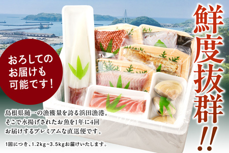 【定期便】浜田の旨い鮮魚四季のお届けコース 海鮮 海鮮 セット 【006_2056】