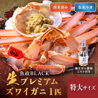 ふるさと納税 京丹後市 急速冷凍 生プレミアムズワイガニ魚政BLACKビックサイズ 1杯(1月〜3月発送)香味ミスト付