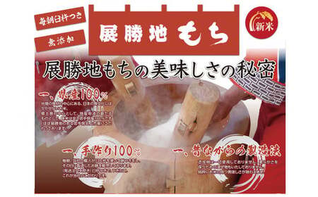 【杵つき】展勝地もち 冷凍 のし餅 一升 約 1,100g ×２枚 (合計 約 2.2kg ) 岩手県 北上市 D0481 使いきりサイズ ！ 北上名物 展勝地 もち つきたて 臼 杵 もち米 正月 