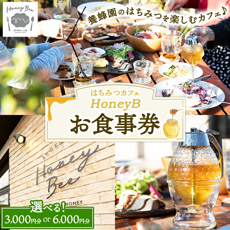 【ふるさと納税】【選べる金額】はちみつの食ラボ・カフェHoneyBee　お食事券 3,000円分・6,000円分 ｜ 食事券 チケット カフェ 蜂蜜 ハチミツ