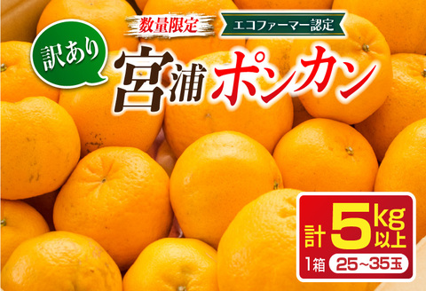 先行予約 訳あり 数量限定 宮浦 ポンカン 計5kg以上 フルーツ 果物 くだもの 柑橘 みかん 国産 食品 期間限定 訳アリ おすすめ デザート おやつ フルーツサンド ジュース ご家庭用 ご自宅用 B品 おすそ分け 不揃い 傷 産地直送 宮崎県 日南市 送料無料 New返礼品_A75-22