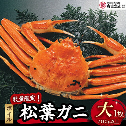 【ふるさと納税】【先行予約】【倉吉魚市】ボイル 松葉がに 700g以上 (大) 松葉ガニ 松葉蟹 ずわいがに カニ かに 蟹 かにしゃぶ 鳥取県