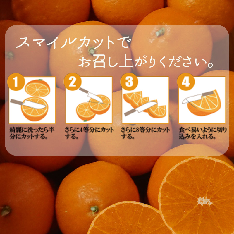 【先行予約】 【11月中旬～発送】  愛果28号 化粧箱 8玉 から 12玉（ 高級 みかん 愛媛 まどんな 柑橘 果物 くだもの フルーツ おすすめ 人気 お取り寄せ グルメ ギフト 期間 数量 限