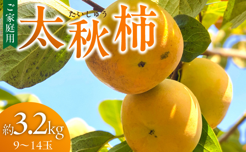 
            【訳あり品】【10月より順次発送】池尻農園　太秋柿　9～14玉　約3.2kg　ご家庭用_訳あり品 太秋柿 9～14玉 約3.2kg 10月発送 ご家庭用 柿 甘柿 フルーツ 果物 スイーツ 甘い 条紋 10月最盛期 完全甘柿 早生品種 大玉 甘みが強い シャキシャキ 種が少ない 子供でも 食べやすい 福岡県 久留米市 送料無料_Fk016
          