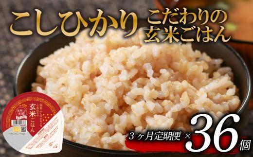 【こしひかり 玄米ごはん】120g 36個 定期便 3回【ご飯パック ごはんパック 玄米 玄米パック 玄米ごはん パックライス パックご飯 パックごはん パック ライス】