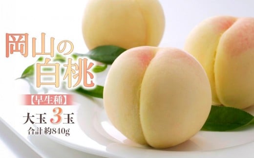 桃 2026年 岡山の 白桃 大玉3玉 早生種 合計約840g 【白桃 桃 もも 岡山県産 国産 フルーツ 果物 新鮮 おすすめ 人気 岡山県 岡山市 国産  ギフト 大玉】