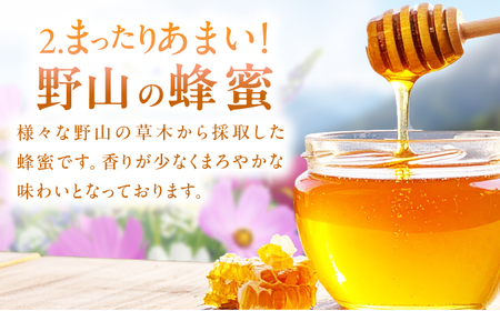 【はちみつお試しセット】 早春みつ・野山みつ 各1本（280g×2） / はちみつセット スピード発送[AFAI043]