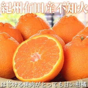 〈発送月固定定期便〉紀州和歌山産旬のご家庭用柑橘セット(みかん・不知火・レモン)全3回　※離島への配送不可