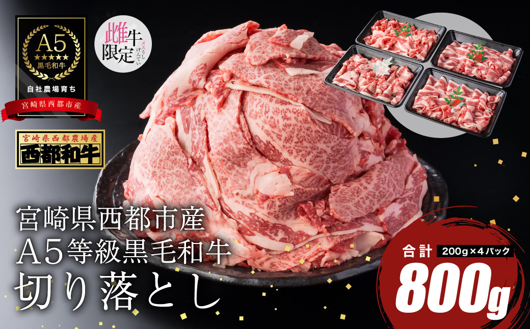 
                  【雌牛限定！最高品質のA5等級 】厳選の黒毛和牛切り落とし 800g （200g×4）オレイン酸含有率55%以上  小分け 牛肉 国産 宮崎県産 西都市産・肉じゃが・すき焼き等【カミチクファーム・西都和牛】＜1.2-19＞ 62-1a
                