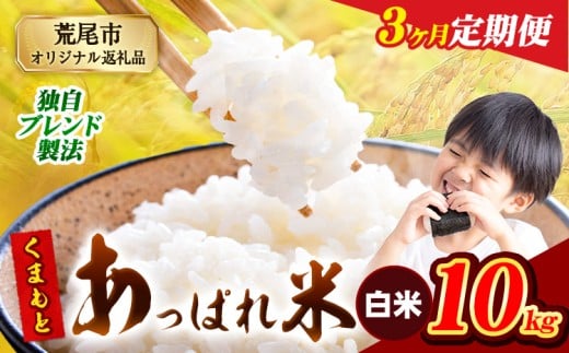 【3ヶ月定期便】熊本県産 くまもとあっぱれ米 ブレンド米 10kg 熊本県産 ふるさと納税 白米 精米 米 こめ ふるさとのうぜい コメ お米 おこめ《1月から出荷開始》