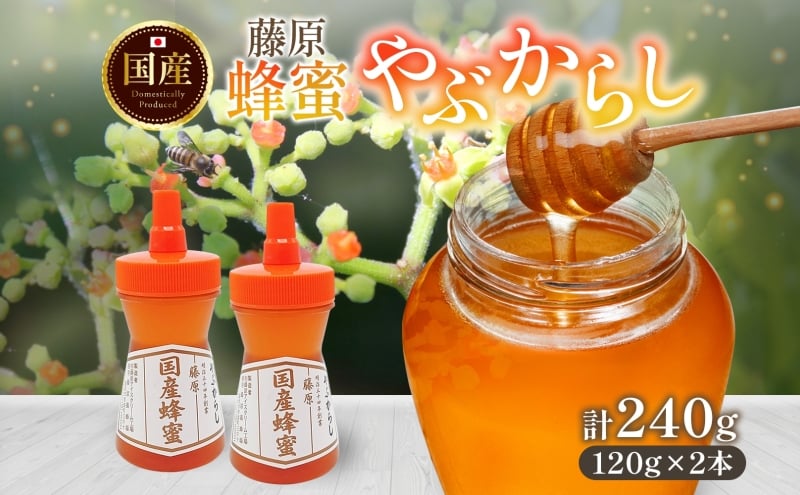 
            藤原国産蜂蜜 やぶからし 計240g はちみつ ヤブカラシ 国産 単花蜜 朝しぼり 完熟 ハチミツ パン 菓子 トースト ホットケーキ ヨーグルト 調味料 隠し味 お取り寄せ ポリ容器 常温 常備 送料無料 藤原養蜂場 岩手県 盛岡市
          
