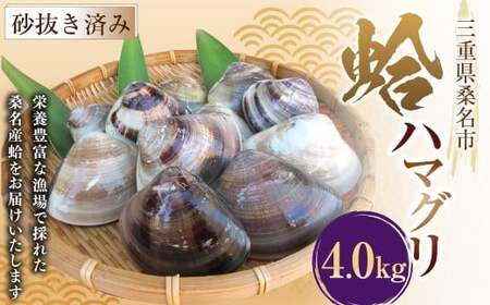 桑名産蛤（ハマグリ） 4.0kg はまぐり 蛤 天然蛤 砂出し済 023-0033