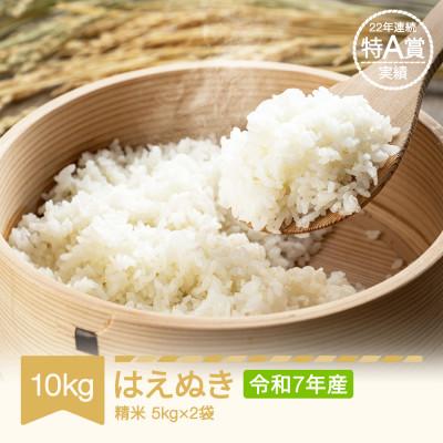 ふるさと納税 村山市 令和7年産 はえぬき 10kg 精米