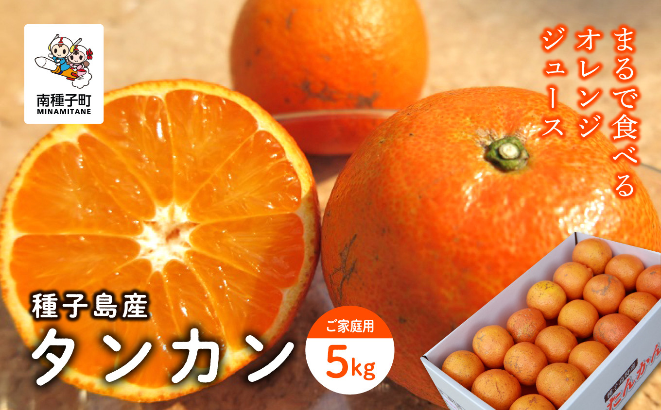 
            《 先行予約 》【2026年2月中旬〜3月中旬頃順次発送】種子島産タンカン(ご家庭用) 5kg(24玉～36玉)
          