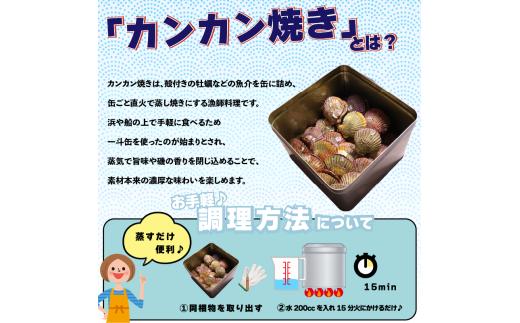 【着日指定可能】 カンカン焼き ヒオウギ貝 25枚 (冷凍) / ヒオウギ貝 新鮮 アッパッパ貝 ギフト 贈答 のし対応可 プレゼント 海鮮 魚介 鮮魚 ガンガン焼き 浜焼き BBQ アウトドア 伊勢