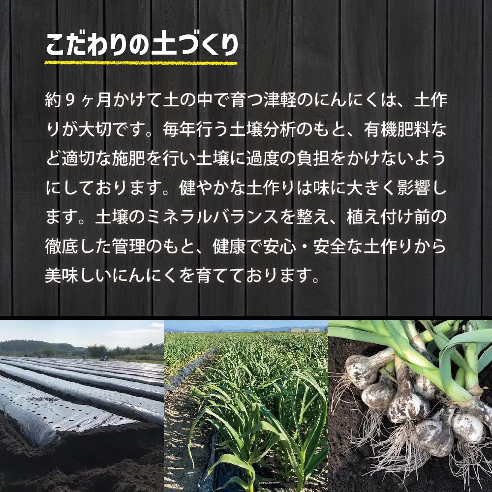 【8月上旬より順次発送】青森県産にんにく 上級品 Sサイズ 1kg ホワイト6片種 にんにく
