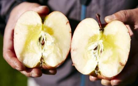 潮風りんごジュース1L×3本