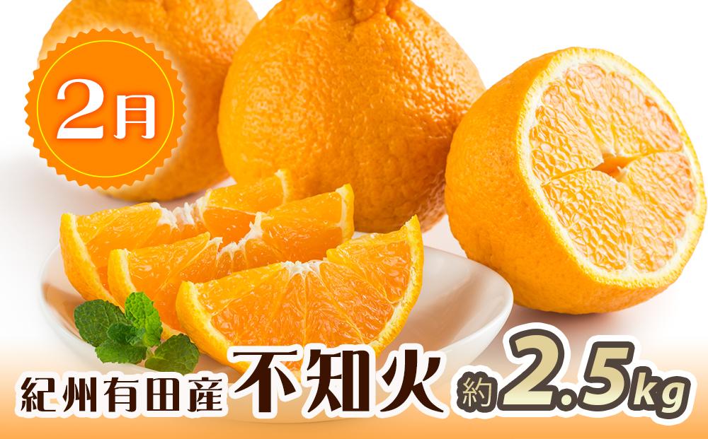 【2・8・9・12月 全4回 定期便 】紀州和歌山産旬のフルーツセット（不知火・種なし巨峰・シャインマスカット・みかん）【UT123】
