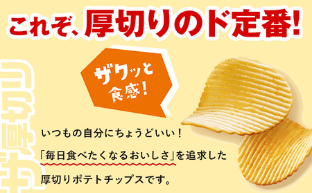 【定期便5カ月】ザ厚切りのための うすしお味 12袋 1箱 カルビー ポテトチップス 《千歳工場製造》