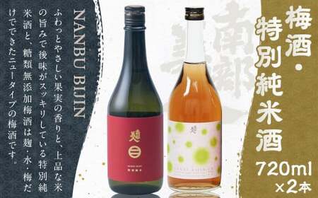 【南部美人】糖類無添加梅酒＆特別純米酒セット ギフト箱入 ／ 贈答品 お酒 酒 アルコール ギフト 飲み比べ お取り寄せ