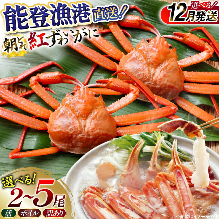 【ふるさと納税】【能登半島直送!】 カニ 活 紅ズワイガニ 選べる容量2〜5尾 訳あり 生 ボイル [JF西海 石川県 志賀町 sk17jkf30065] かに 蟹 紅ズワイ 紅ズワイガニ 生 ズワイ ずわい ずわい蟹 ズワイガニ 姿 カニ鍋 カニしゃぶ カニ爪 規格外 足折れ 魚介 海産物