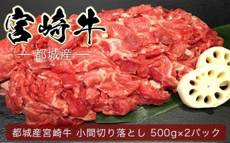 宮崎牛こま切り落とし1kg_18-4207_(都城市) 牛小間切落とし肉 (500g×2パック/計1キロ) 旨味たっぷり 赤身と甘い脂がバランスよく混ざった牛切り落とし肉 炒め物/煮込み料理にも