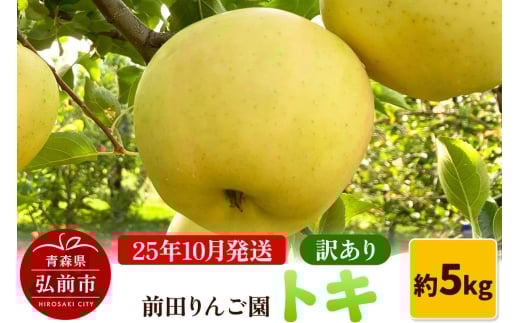 【25年10月発送】りんご【訳あり】トキ 約5kg  前田りんご園【レビューキャンペーン】