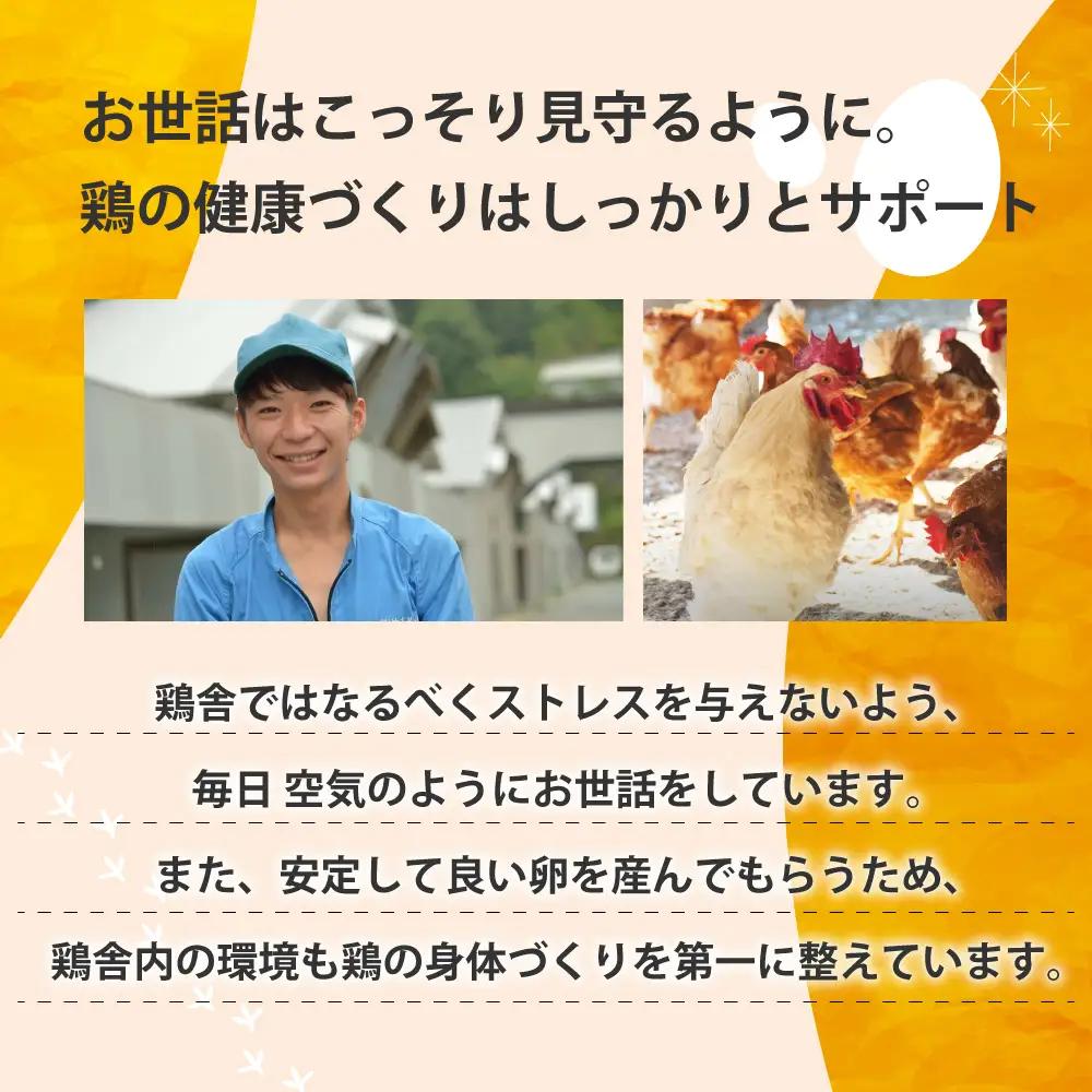 のびのび育ち平飼い「有精たまご」卵30個 卵