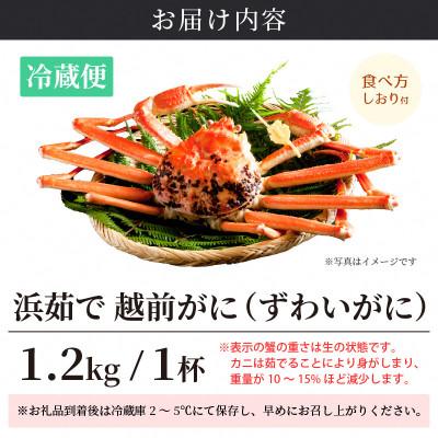 ふるさと納税 越前町 ≪浜茹で≫ 越前がに 特大サイズ(生で1.2kg以上) × 1杯【1月発送分】 |  | 03