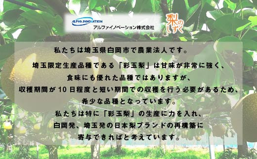 彩玉梨のパウンドケーキ　3個セット