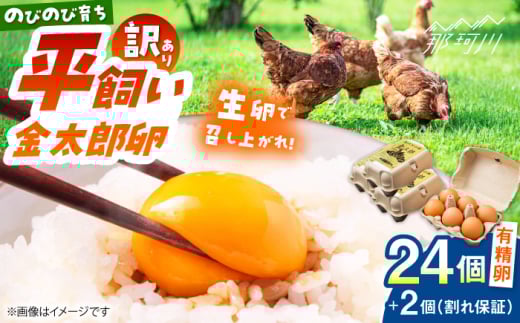 ＼訳あり／【TVで紹介！】【鮮度ＡＡ級の世界最高ランク！】金太郎卵 平飼い たまご 24個（6個×4パック）＜有限会社フジノ香花園＞那珂川市 [GAM041]