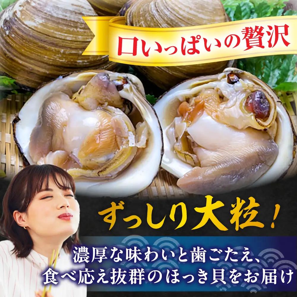 【2026年7月中旬以降順次発送再開】活ほっき貝 2kg 約6〜12個 ホッキ [AXAL005]