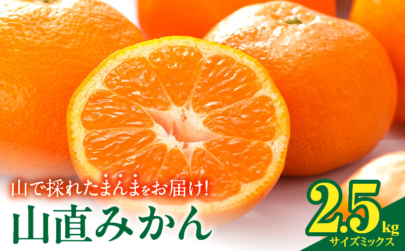 MK1037_【2025年先行予約】みかん 山から直送 箱込 2.5kg ( 内容量 2.3kg ) 鮮度優先ごろごろ規格 和歌山県産 産地直送 【みかんの会】