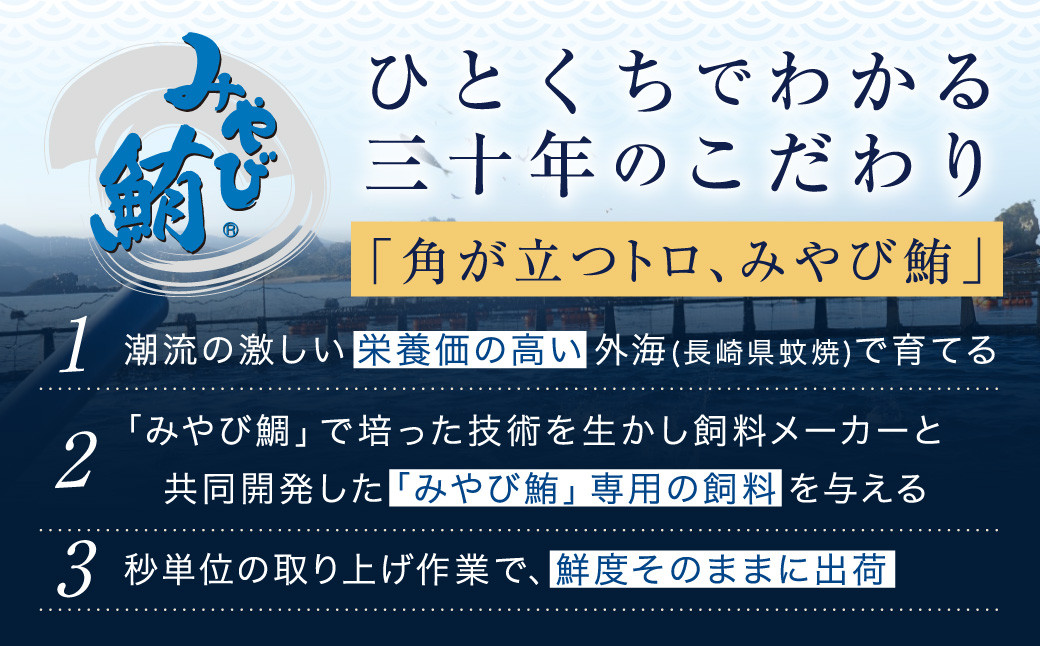 本マグロ 大賞受賞 みやび鮪 中トロ 計約600g（約6～7人前） 鮪 まぐろ マグロ トロ