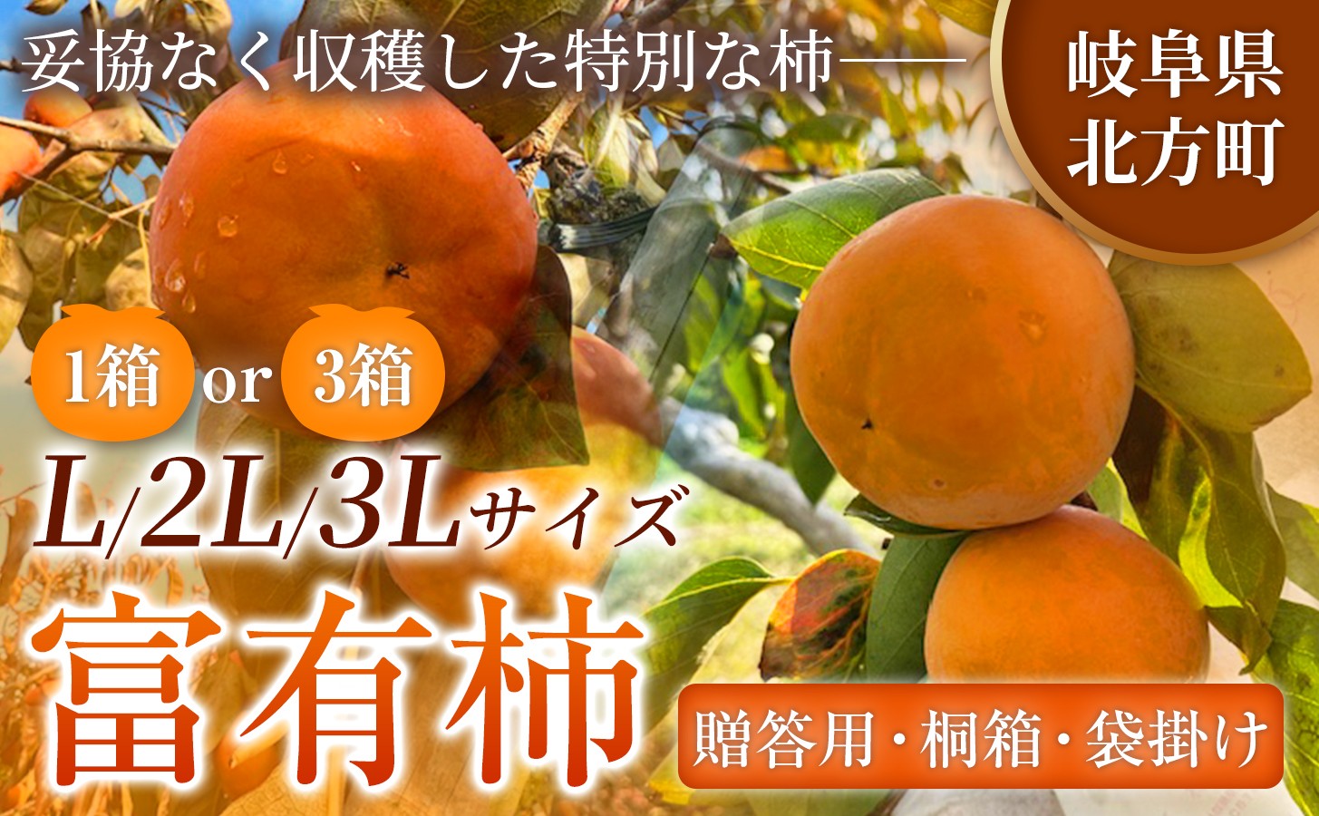 
                  【贈答用】先行予約 令和8年11月中旬順次発送 富有柿 ( 選べる サイズ ・ 容量 ) |【お歳暮やご挨拶に選ばれる】 完熟収穫が生む格別な甘み 柿 富有柿 フルーツ 果物 完熟 国産 贈答用 贈り物 手土産 ギフト プレゼント お歳暮 季節の果物 高級 岐阜県 本巣郡 北方町
                