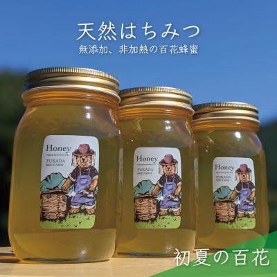 ふるさと納税 美濃市 合計1800g 深田養蜂の天然蜂蜜 国産蜂蜜 非加熱 生蜂蜜 岐阜県 美濃市産 初夏 B7