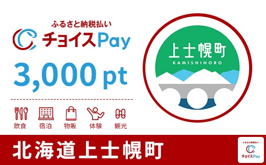 
            上士幌町チョイスPay 3,000pt【会員限定のお礼の品】
          