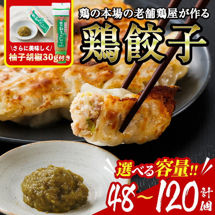 【ふるさと納税】＜内容量が選べる！＞鶏の本場の老舗鶏屋が作る味鶏の餃子セット (計48個～120個・1Pあたり12個入・柚子胡椒30g付き！) 鶏餃子 餃子 鶏肉 ぎょうざ おかず お惣菜 おつまみ 冷凍【V-70・V-71・V-72】【味鶏フーズ】