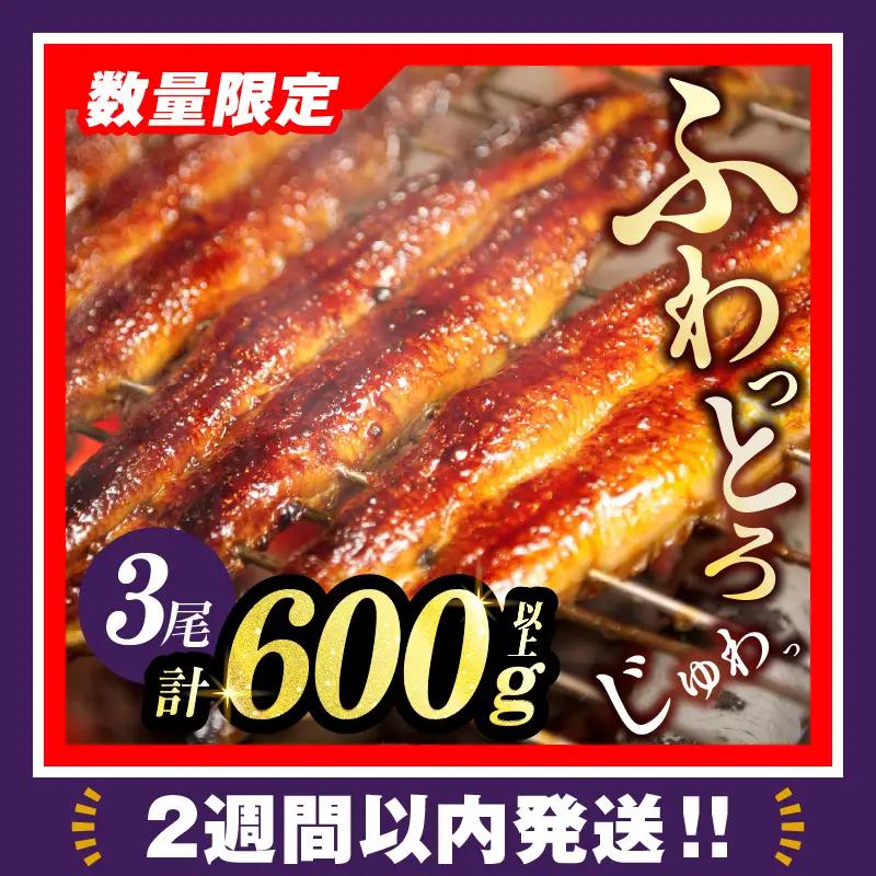 【ふるなび限定】【2週間以内発送】うなぎ蒲焼3尾(さんしょう・たれ付き)計600g以上 鰻 魚 魚介 加工品 国産 FN-Limited-PR_T026-0148-2W