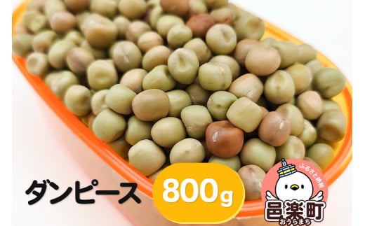 
ダンピース 800g×1袋 サイトウ・コーポレーション 飼料
