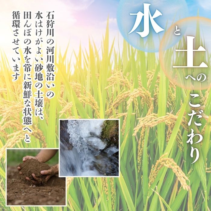 令和7年産 ななつぼし 精米 5kg【牧野農産】米 お米 北海道米 特Aランク 国産 白米 コメ 北海道 比布町 ぴっぷ 1014-004