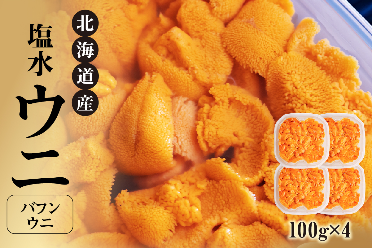 【先行予約：2025年4月末以降順次発送】北海道産　世壱屋塩水ウニ（バフンウニ）400g_Y038-0147