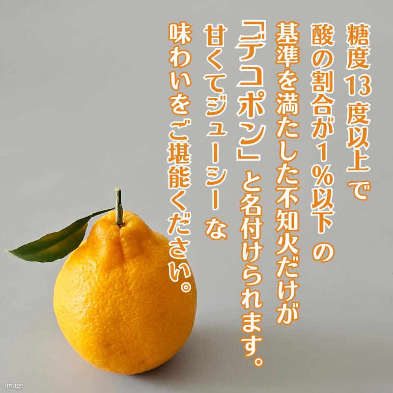佐賀みかん デコポン【不知火】：B195-006_イメージ2