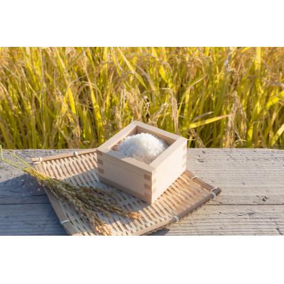 ふるさと納税 丹波篠山市 令和7年産!丹波篠山のこしひかり精米5kg |  | 01