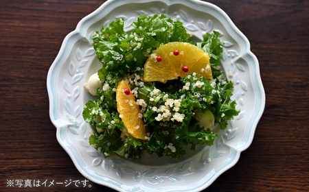 【波佐見焼】ombre de fleur オリーブM palette blue 4枚セット【翔芳窯】[FE567]