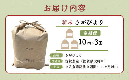 令和7年産 さがびより 10kg×3回定期便 ／米 お米 返礼品 飯 ごはん 弁当 銘柄米 白米 県産米 佐賀県産 国産米 精米 ブランド米 おにぎり 国産 食品 人気 おすすめ ふるさと納税米 新米