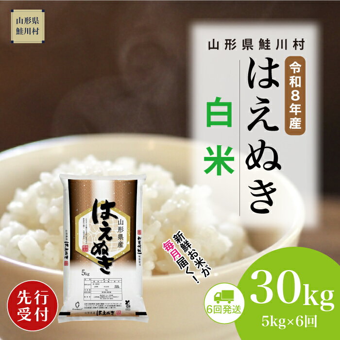 【ふるさと納税】＜令和8年産米先行受付＞ 鮭川村 はえぬき 【白米】30kg （5kg×1ヶ月間隔で6回お届け）＜配送時期選べます＞